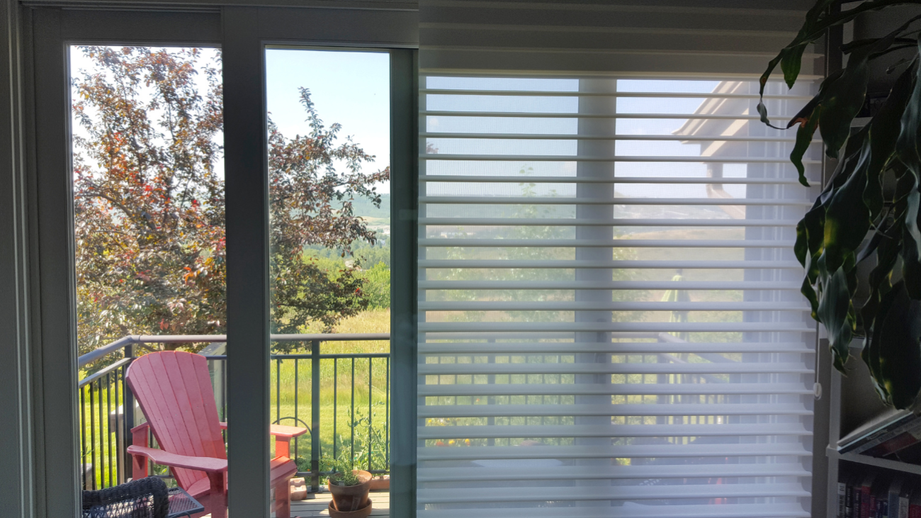 Enhance Your Outdoor Space: Top Patio Blinds