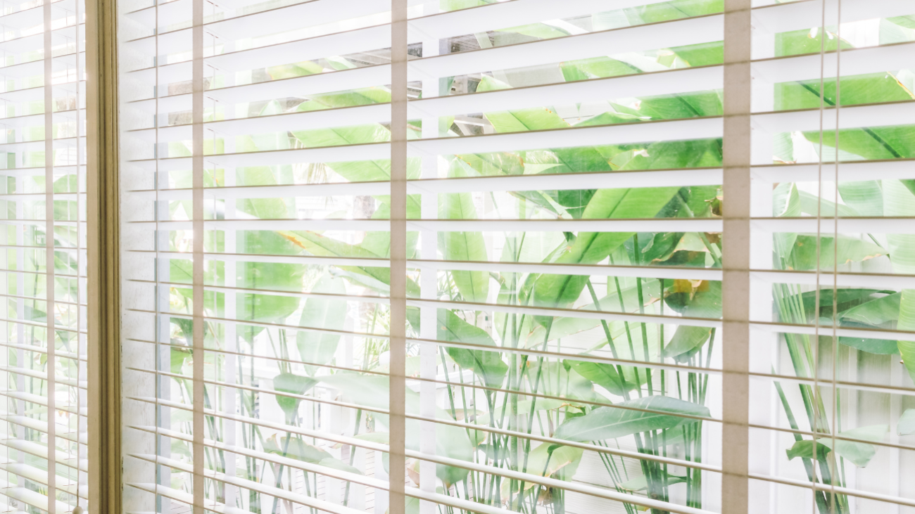 Breathe Easy, Breathe Clean: The Guide to Healthy Window Blinds