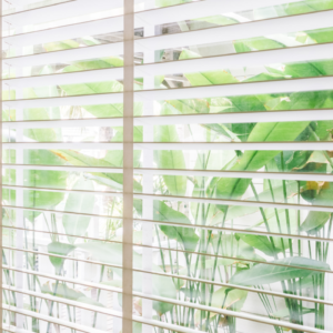 Breathe Easy, Breathe Clean: The Guide to Healthy Window Blinds