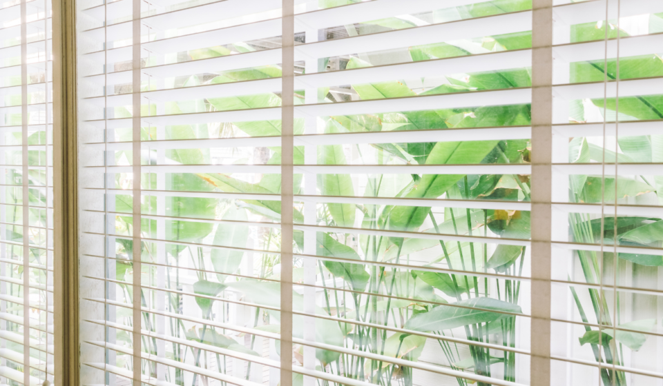 Breathe Easy, Breathe Clean: The Guide to Healthy Window Blinds