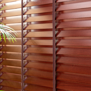 How Do Motorised Blinds (AC vs. Battery Power) Work?