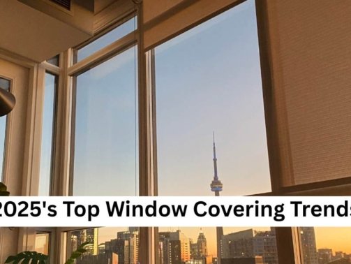 2025's Top Window Covering Trends