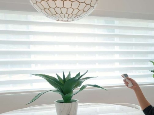 Automated Window Treatments: Are They Worth the Investment?