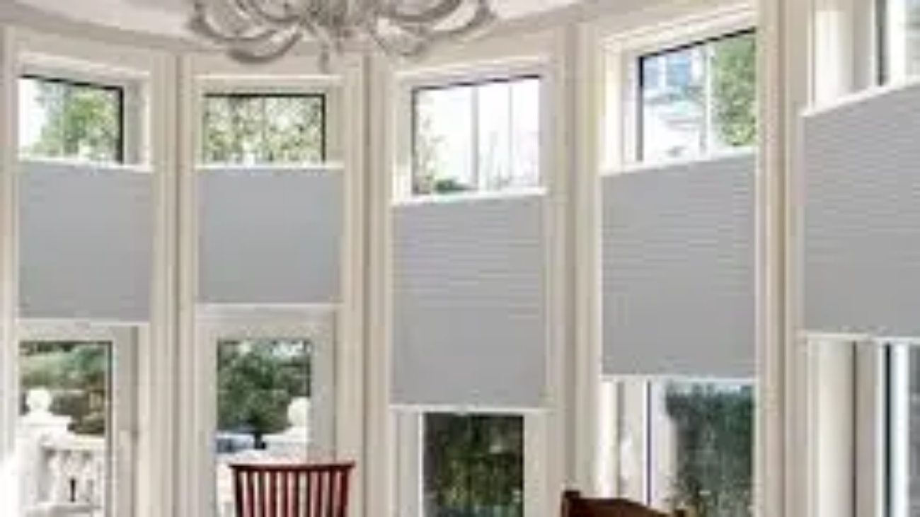 Window Blinds