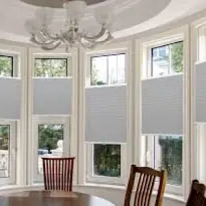 Window Blinds