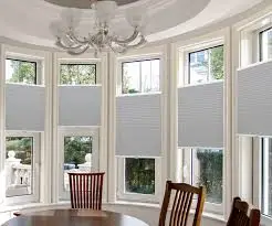 Window Blinds