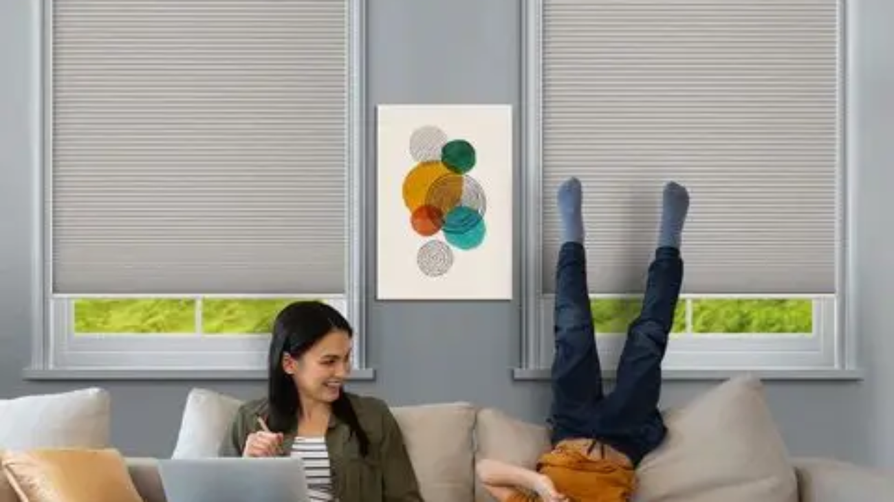 Do Window Blinds Really Save Energy