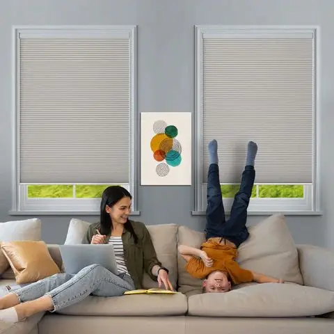 Do Window Blinds Really Save Energy