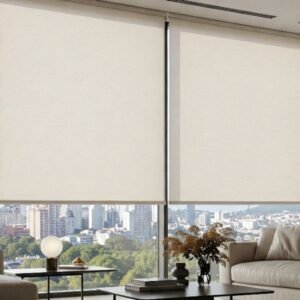 Window Treatment Ideas