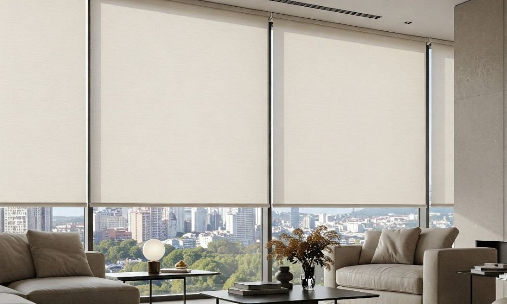 Window Treatment Ideas