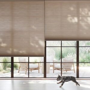Best Blinds for Large Windows